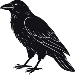 Raven Silhouette Vector Illustration