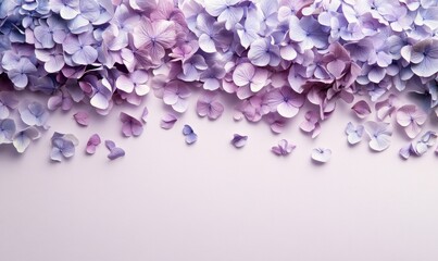 Obraz premium A purple and pink flower with a white stem