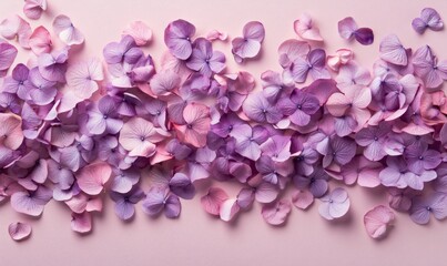 Fototapeta premium A bunch of purple flowers are scattered on a pink background