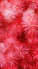 A vibrant display of pinkish-red bursts resembling fireworks, creating a festive and celebratory atmosphere.