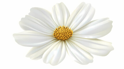 A white flower on a white background, centered among its petals. Zephyrine. Illustration