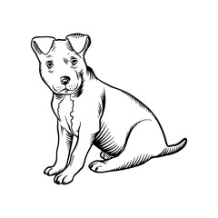 Puppy Pit Mix - Dog Breed, Puppy Breed Vector File, detailed vector
