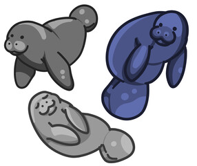 Manatees