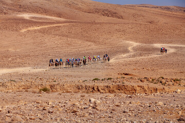 A group of tourists is traveling through the desert sand. They are riding on camels, accompanied by local people. Supporting tourist groups is the main business of those who live in the desert."