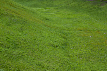 Green field texture. Veliky Novgorod Kremlin.