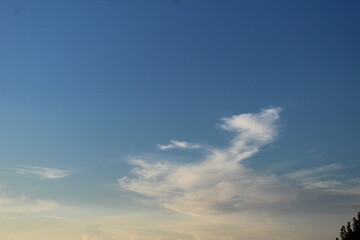 White clouds in blue sky cirrus clouds on a blue background. White and Blue Natural Background