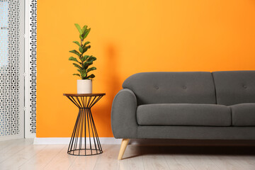 Stylish sofa and side table with houseplant near orange wall indoors