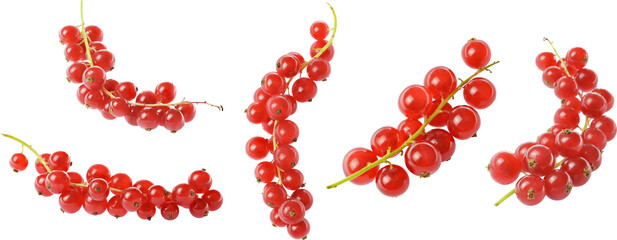red currant berries fruits isolated for diets and compositions