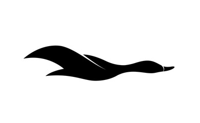 Flying duck logo