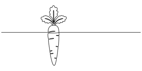 Continuous one line drawing of isolated carrot outline vector art illustration, Simple carrot in continuous one line art drawing design, Growing carrot plant minimalist outline vector, one line draw 
