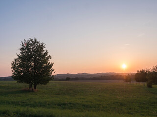 Orange sunset over green summer meadow and forest with alone cherry tree and deciduous tree alley, clear sky background, Countryside landscape, copy space, Kokorin region, central Bohemia
