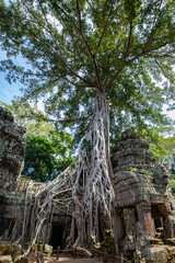 Ta Prohm