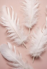 Pastel soft feathers as pattern texture background
