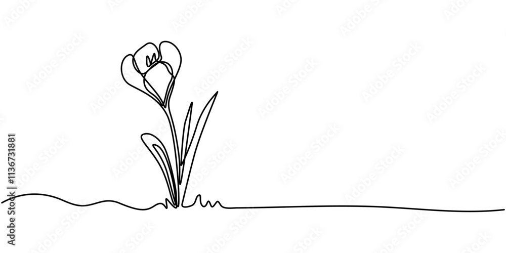 Poster spring crocus flower in continuous line art drawing style. minimalist black linear sketch isolated o