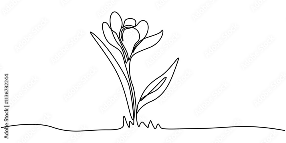 Poster spring crocus flower in continuous line art drawing style. minimalist black linear sketch isolated o