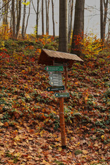 Wegweiser, Schild, Wandern an der Heidelbachstraße in Wolkenstein im Erzgebirge, Erzgebirgskreis, Sachsen, Deutschland	