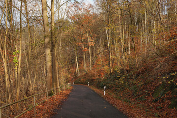 Heidelbachstraße in Wolkenstein im Erzgebirge, Erzgebirgskreis, Sachsen, Deutschland	
