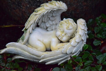 Obraz premium statue of angel