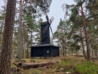 Windmill in the forest