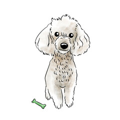 Cute pet watercolor style illustration - white dog