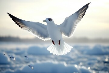 A northern fulmar is actively searching for fish above the icy waters, showcasing its agility
