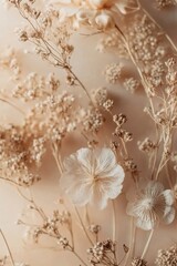 A close-up of dried flowers, with their intricate details and soft tones creating an ethereal atmosphere.