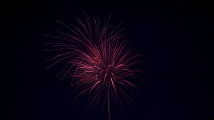 Raspberry fireworks on a black background creating a stunning display