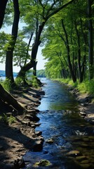 Obraz premium The calm river flows gently, bordered by vibrant green trees and a sandy bank