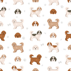 Cockachon clipart. Cocker Spaniel Bichon Frise mix. Different coat colors set.  Vector illustration