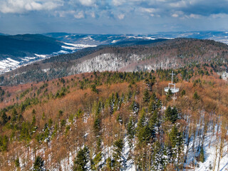 Lasy Beskidu Niskiego i szczyt Jaworze.