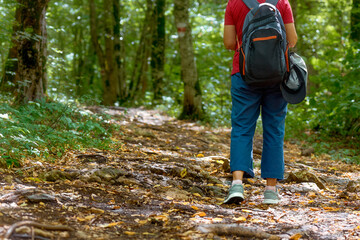A tourist girl in sneakers on a forest road. Hiking. View of the tourist's legs from the back.