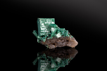 Green torbernite. Specimen from france. photography isolated on black background. macro detail...
