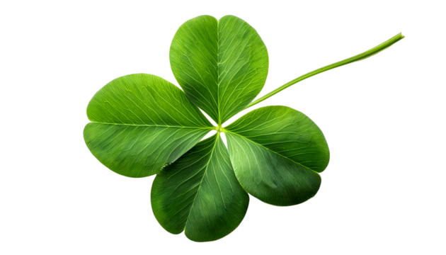 Green clover leaf symbolizing luck and positivity, isolated on a clean white backdrop. Perfect for concepts of good fortune, St. Patrick's Day, and natural beauty. PNG white transparent background