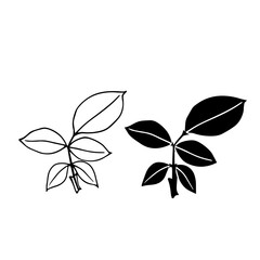 Linear sketch, stamp, silhouette of leaves. Simple botanical elements. Vector graphics.