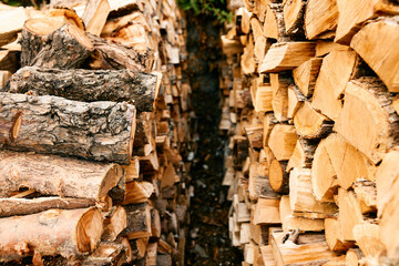 stacked logs in serene forest setting, showcasing natural beauty and rustic charm