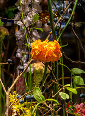  Blumenarragements und Dekorationen,  Floristik, Berlin, Deutschland
