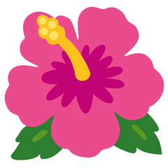 Pink Hibiscus Flower