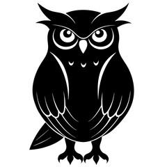 owl on white background