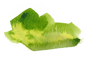 Colorful watercolor spot on isolated white background. Green blot. Colored aquarelle simple. Hand drawn watercolor splotch