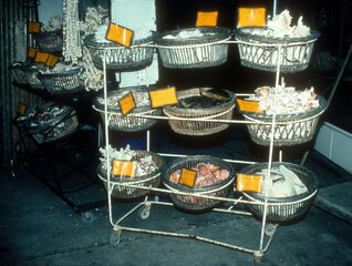 commerce d'animaux, coquillages, tortues