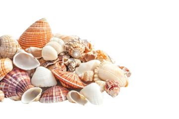 A pile of seashells, isolated on a transparent background, perfect for beach, ocean, or nature-themed designs.