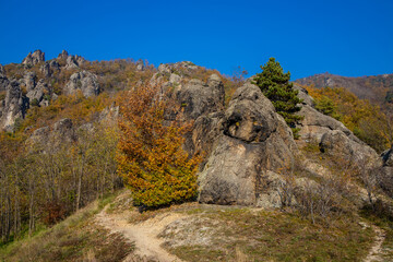 Fototapeta premium Autumn colors in the mountain forest. Wachau valley and vine yards in Austria. Rock formations in the yellow leaves autumn colored forest