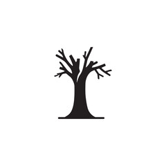 dry season tree trunk