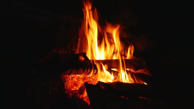 A close-up of a bonfire with bright orange flames. The fire burns on a black night in deep darkness. Bright fire on a black background