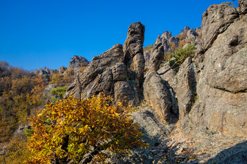 Autumn colors in the mountain forest. Wachau valley and vine yards in Austria. Rock formations in the yellow leaves autumn colored forest