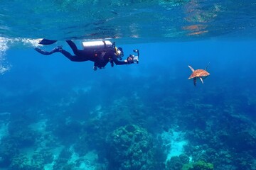 Scuba diver in the shallow water swimming toward the sea turtle. Tortoise in the shallow murky water with scuba diver and coral reef. Marine life, reef and swimming diver. Tourist in the water.