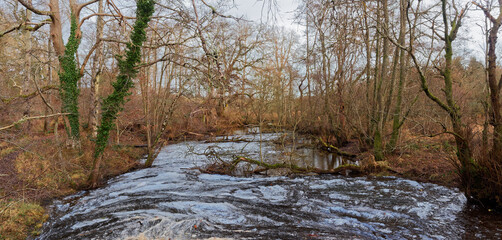 Ice shards and pieces of Ice Debris forced together by the current into circular shapes and...