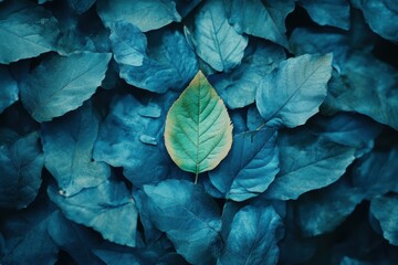 Obraz premium A single vibrant green leaf stands out amidst a sea of deep blue leaves, symbolizing individuality, nature, and environmental concepts. Ideal for eco-themes.