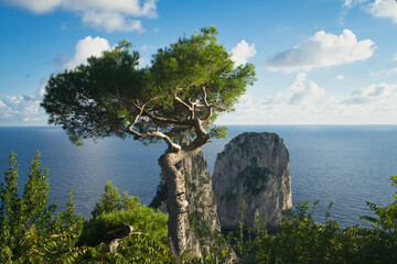 Faraglioni near the island of Capri. Coastal and rock formation eroded by waves, formed over time by wind and water. A tourist attraction of the Italian island