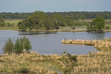 Peat lake in a heath landscape with trees in Turnhoutse Vennen nature reserve, Turnhout, Flanders, Belgium. high angle view 
